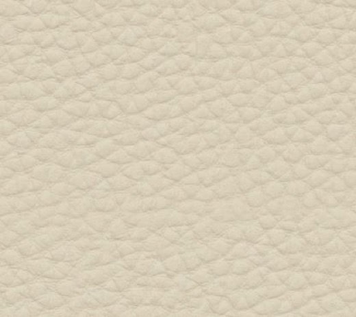 5101 · Latte