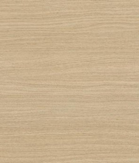 SKIN 2107