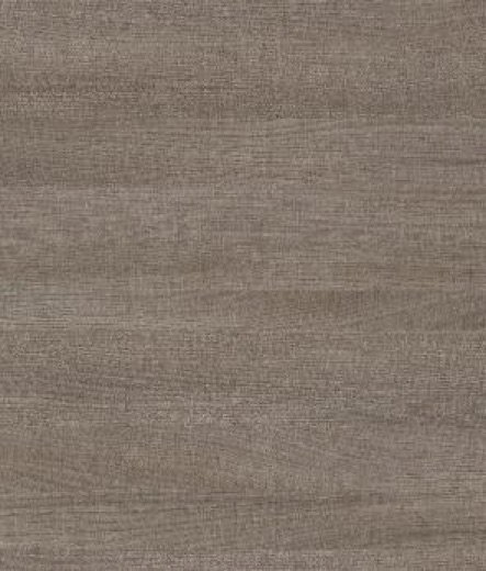 SKIN 6579